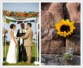 /album/fotogaleria-girasoles/images-25-jpg/